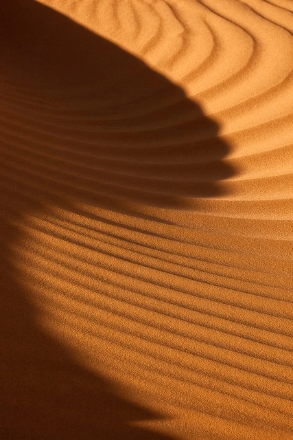 Rippled desert sand dunes