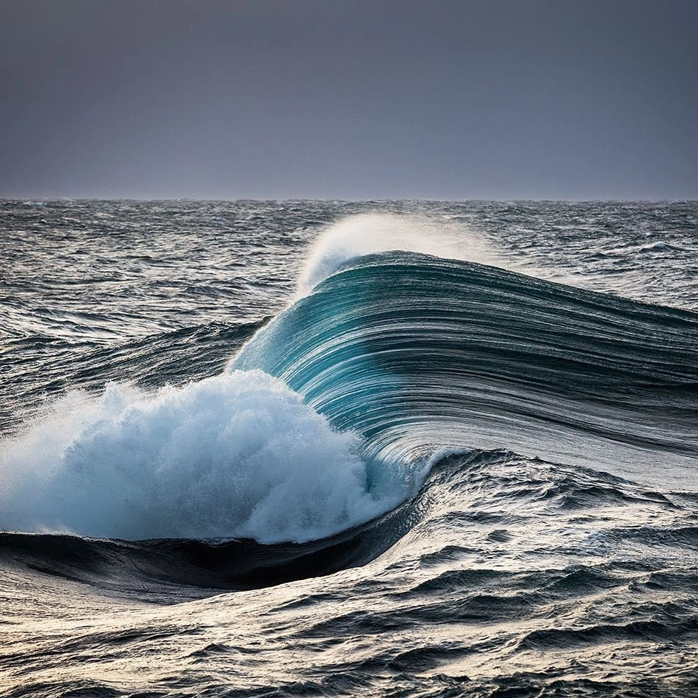 Warren Keelan (@warrenkeelan) • Instagram photos and videos