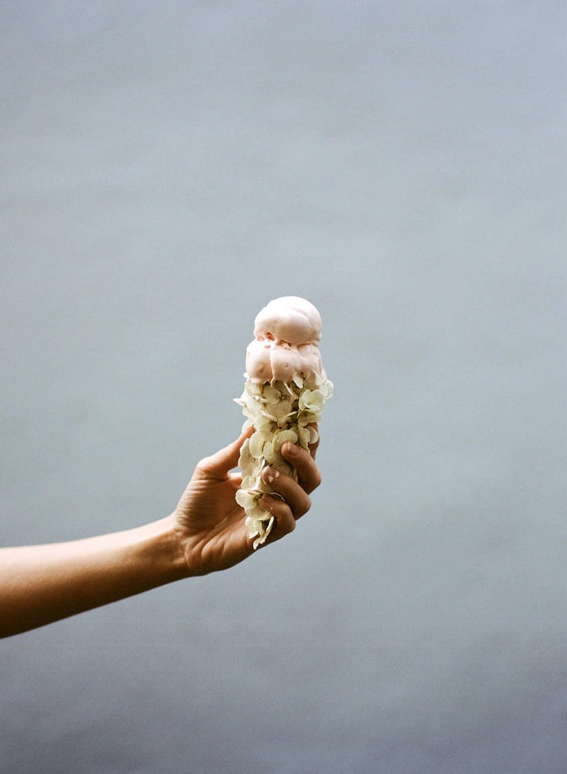 darksilenceinsuburbia-ice-cream-flowers