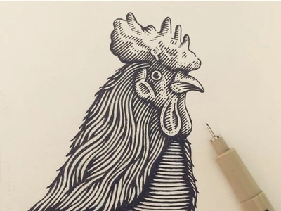 Rooster Etching