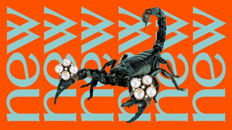 4ca183737472299abadcb6a4ec6b36f1