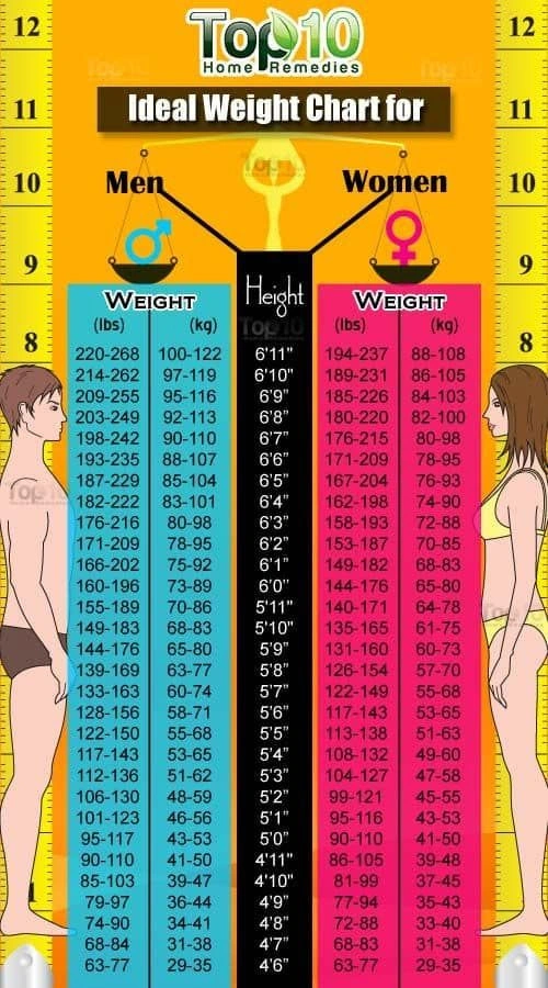 Height And Weight Chart For Women And Men BMI Calculator