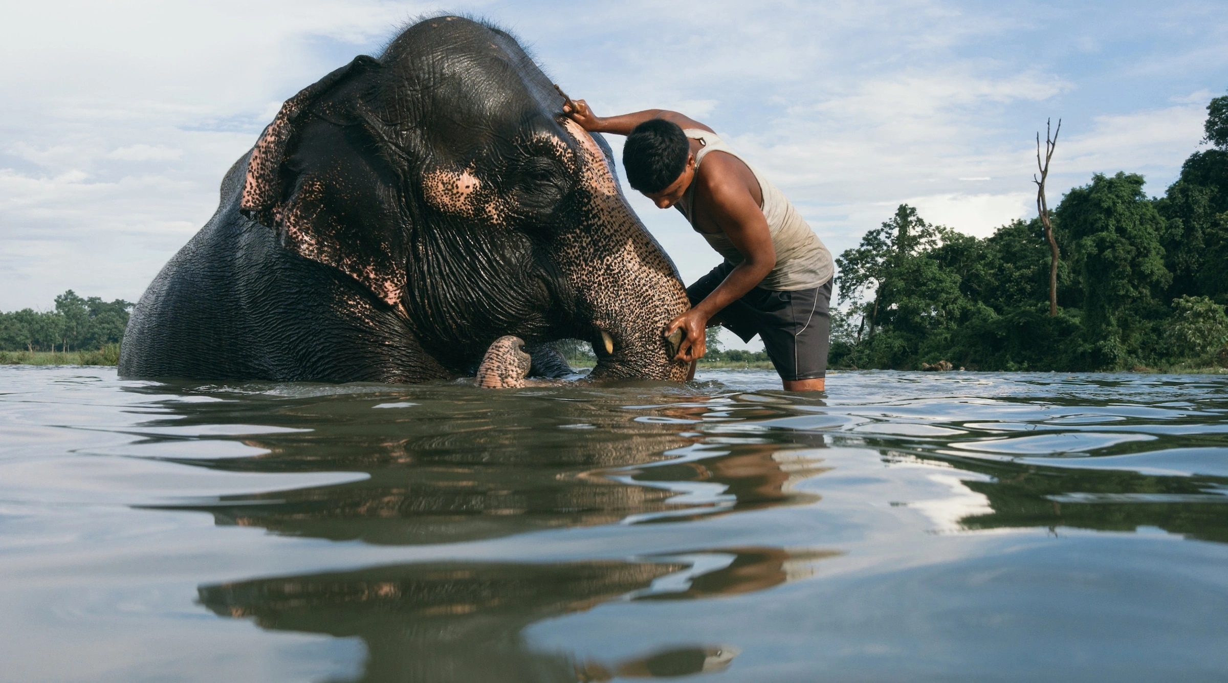 Keepers of Ganesh: The Vanishing Art of Mahout · Maptia