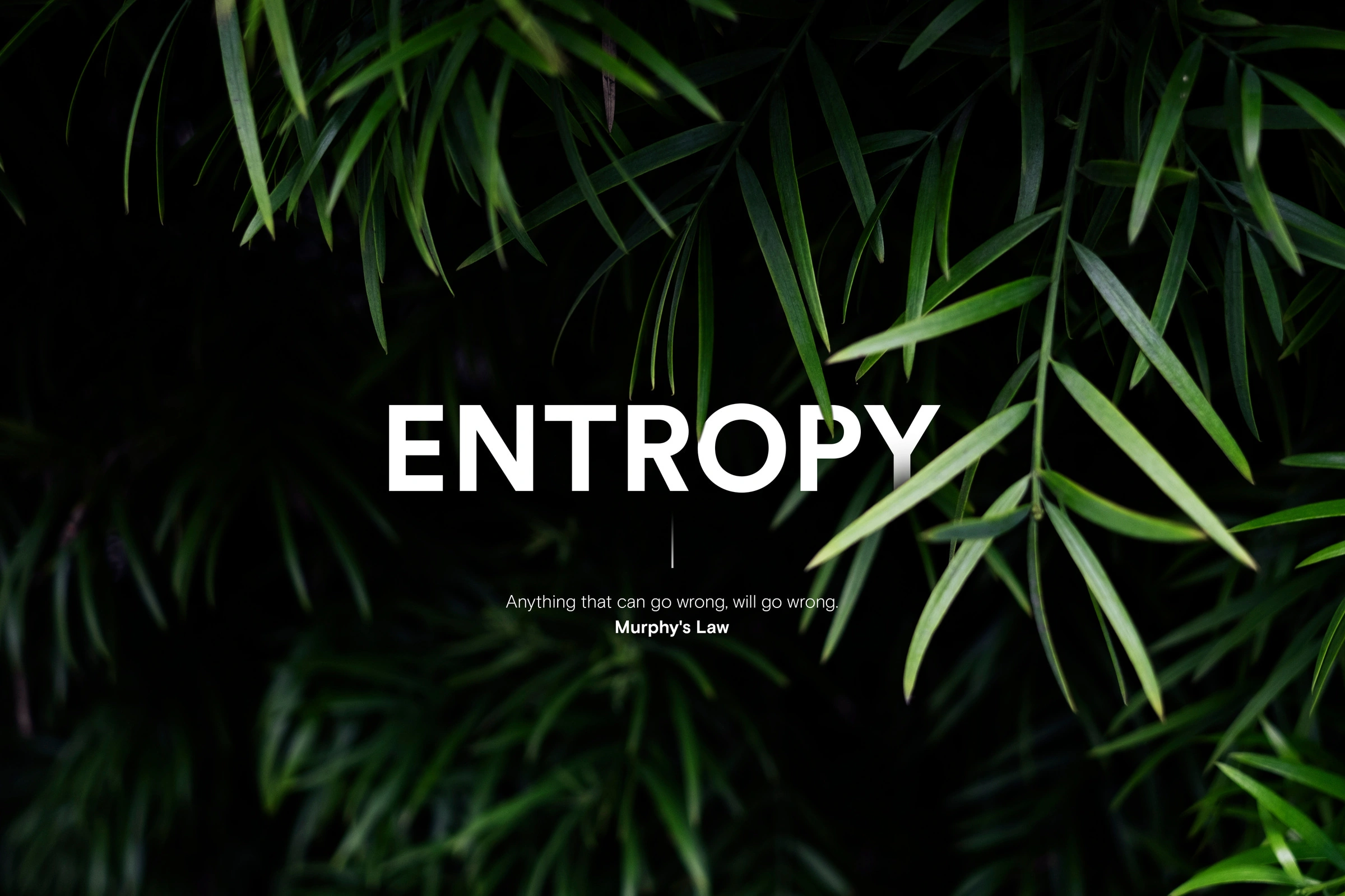 entropy copy