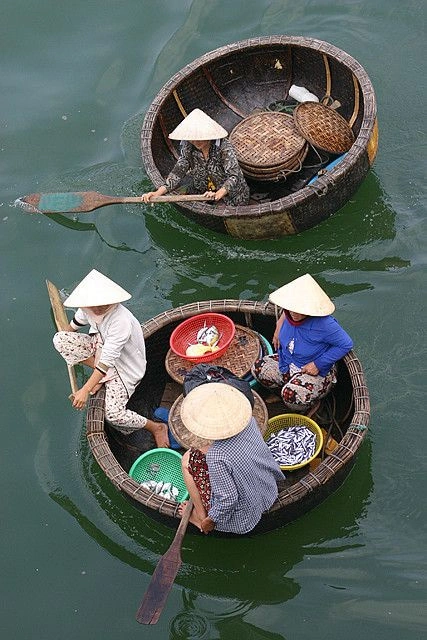 Transport in Vietnam