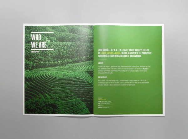 Brochure design idea #140: Avocado Zapotlan Brochure #avocado #mexico #mno #editorial #brochure