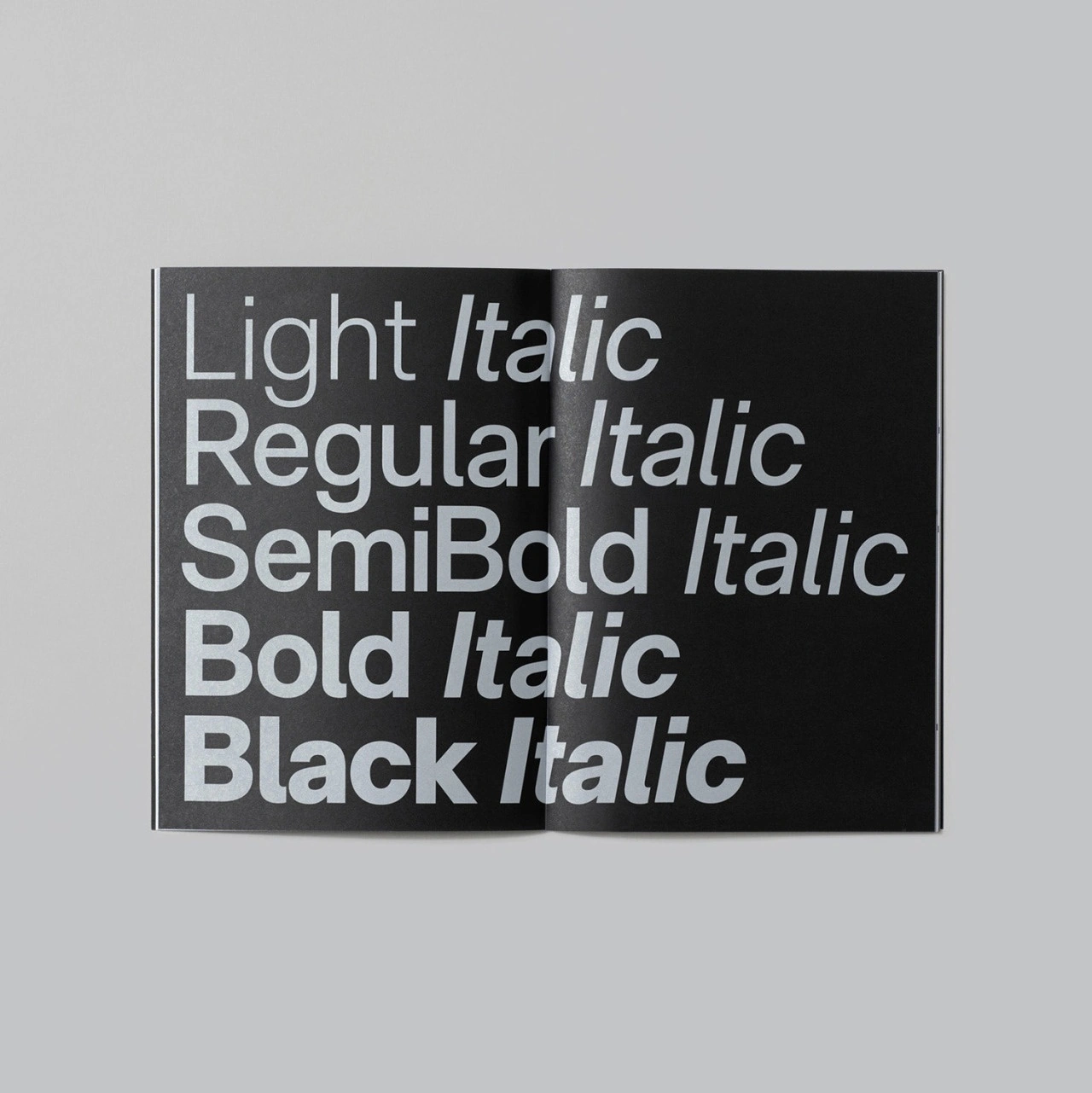 Mark Bloom / CoType Foundry / RM Neue / Specimen / 2019
 Download