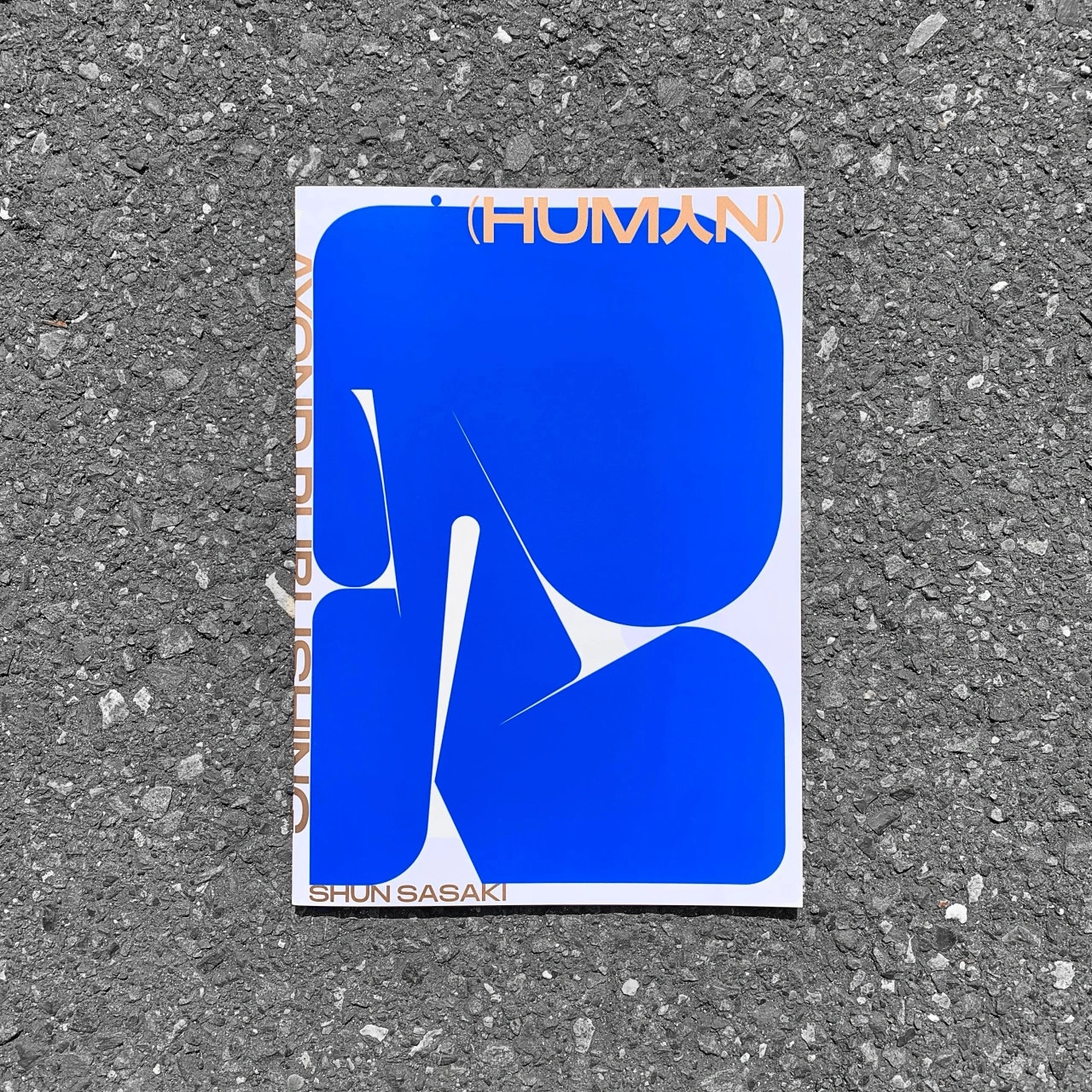 sasakishun:
““HUM人N” ZINE
Design: Shun Sasaki
”