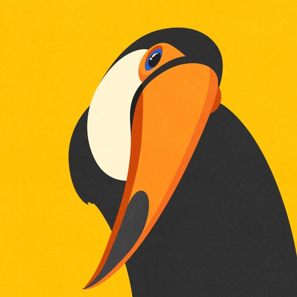 Toucan