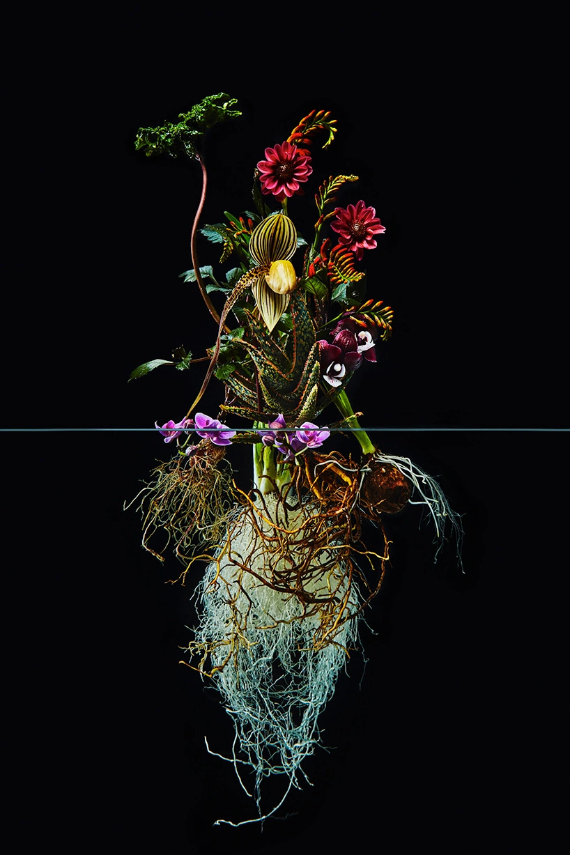 azuma makoto undersurface flowers