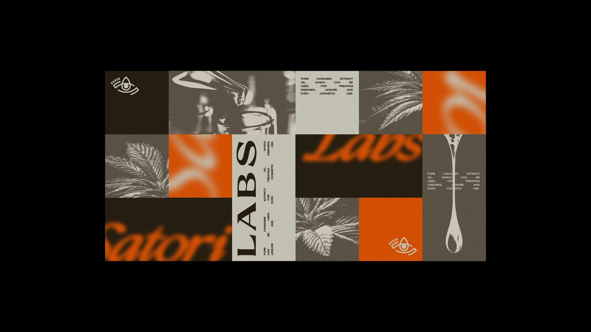 Satori Labs | 13