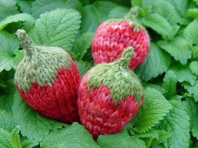 Top 10 Knitted Foods