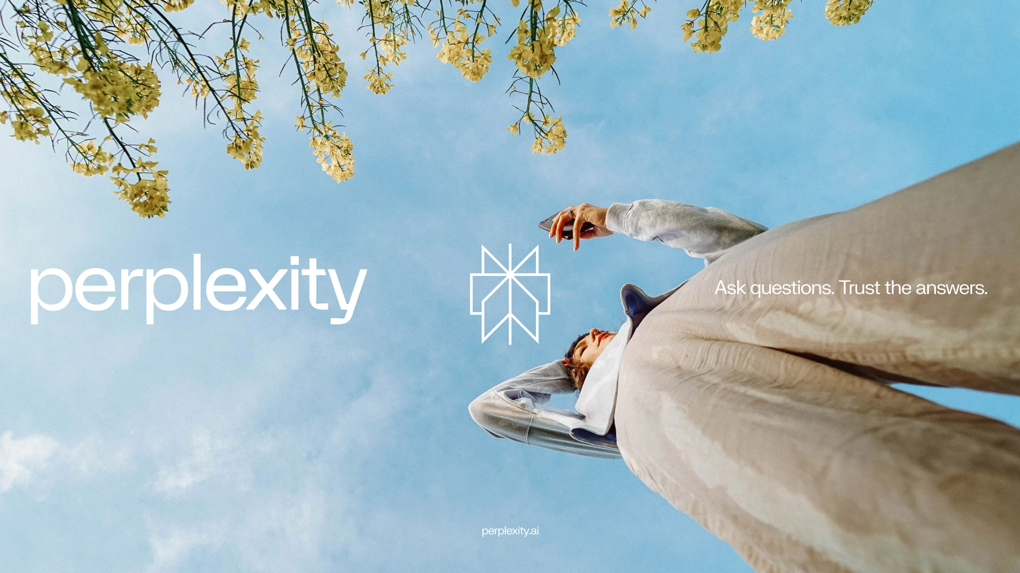 perplexity_logo_tagline_on_photo