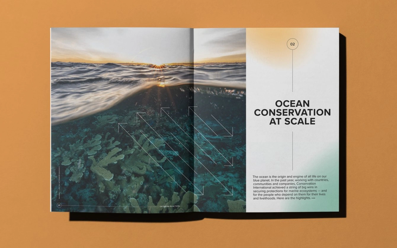 Abdul Rehman Conservation International tooot conservation