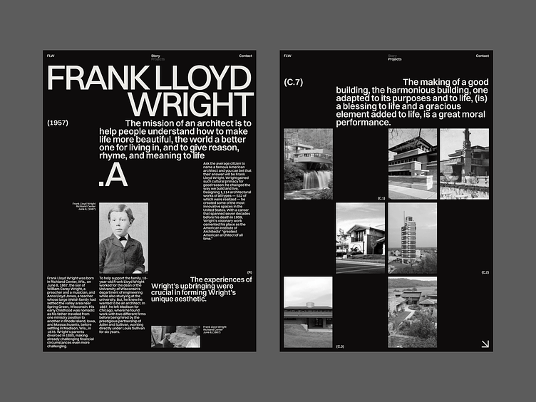 Frank Lloyd Wright_02 by Biondic Vladimir on Dribbble