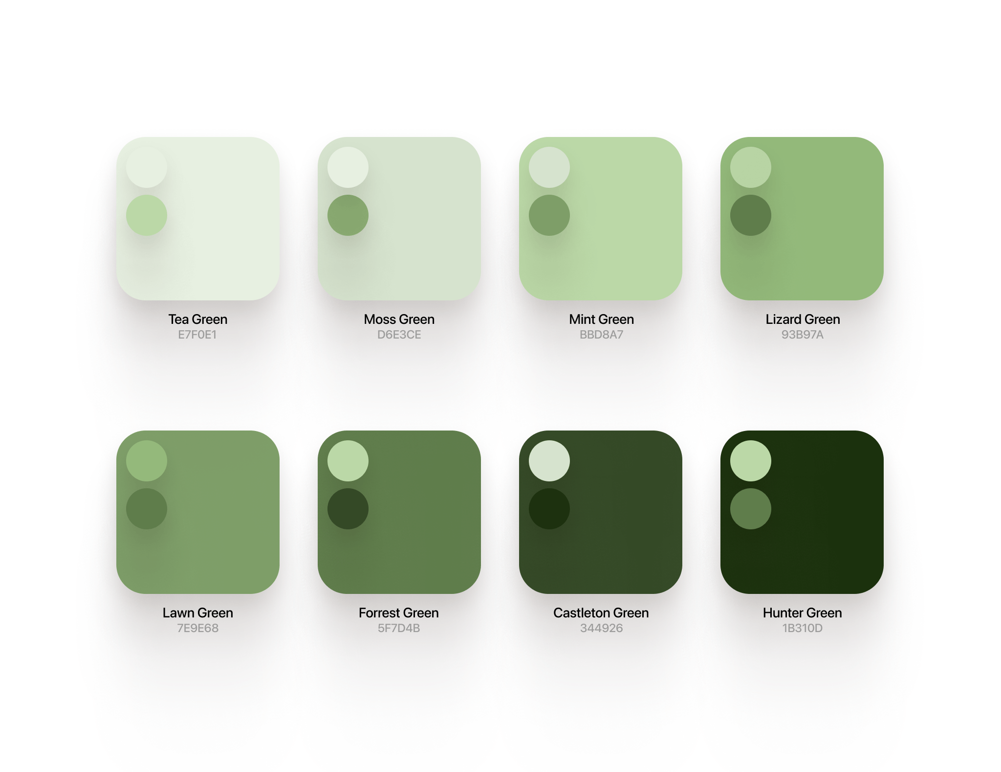 Muted_Green_New_Dicitonary_Of)Color_Schwaibold