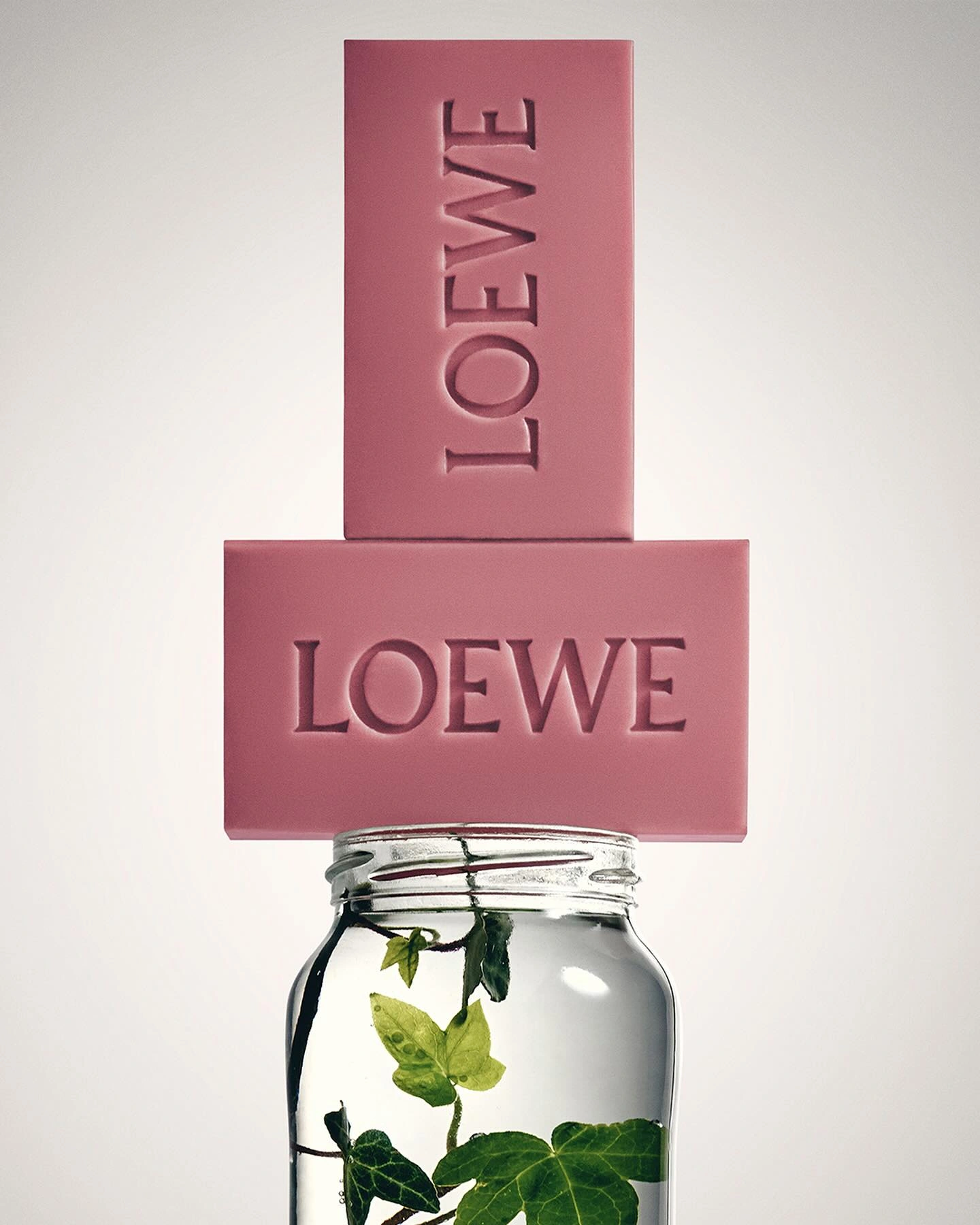 loewe_perfumes-20240615_075005-441889710_18237205579270207_7477584377226798416_n