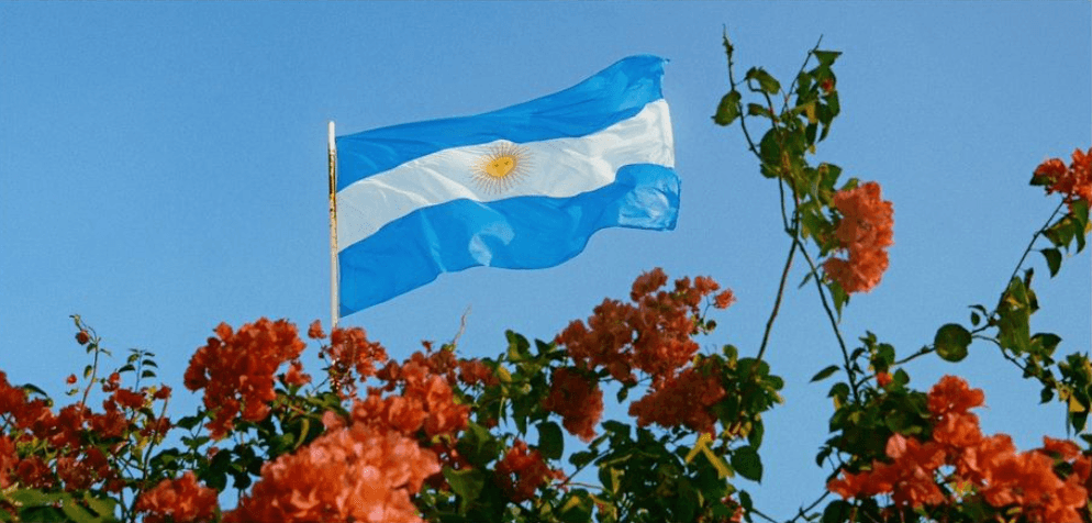 Screenshot 2024-10-09 at 4.43.06 PM