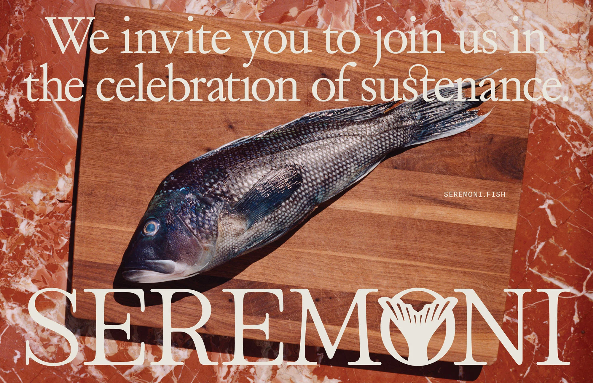 No fishy business in sight: Creech’s identity helps Seremoni share its sustainable seafood story