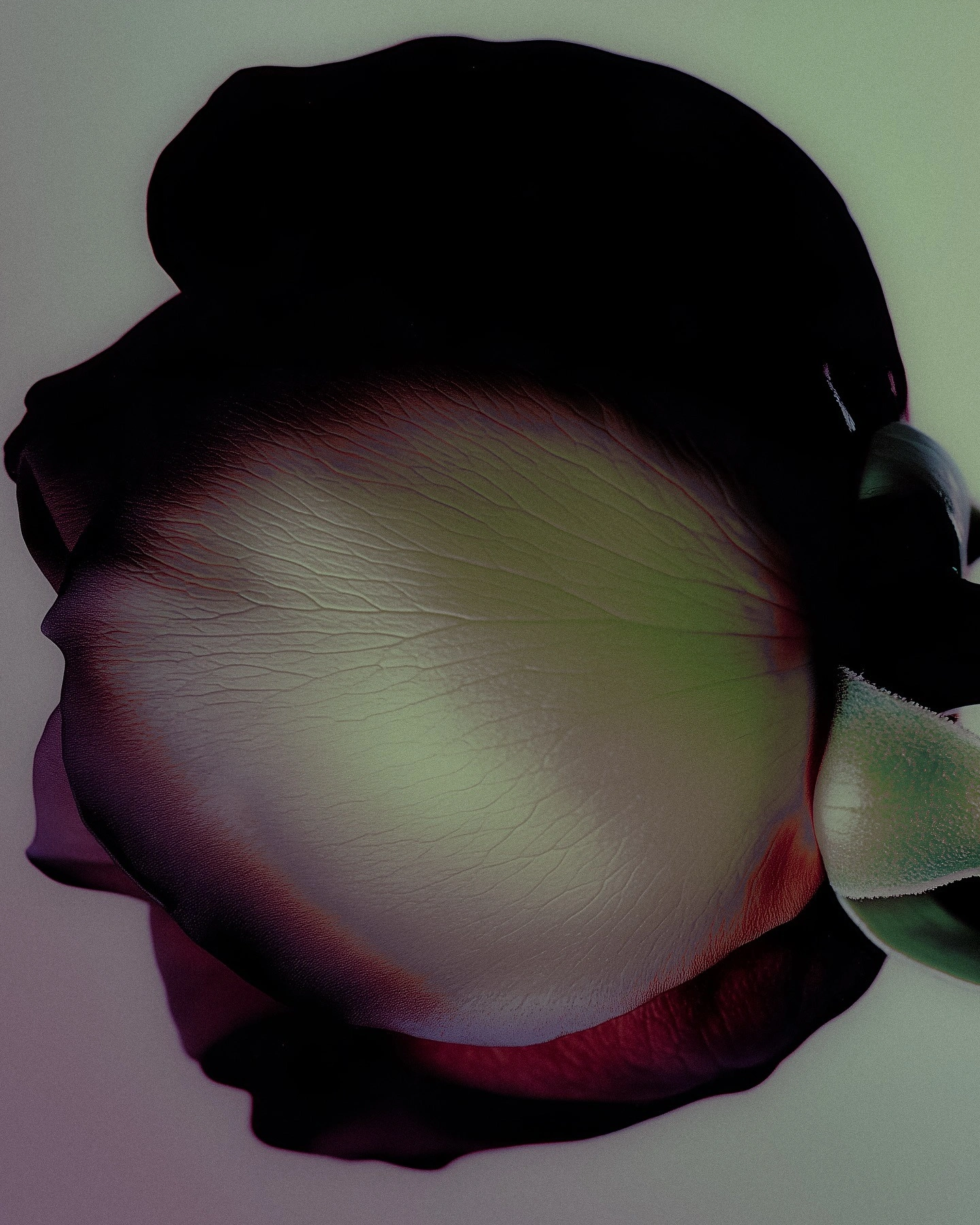 untitled (15)