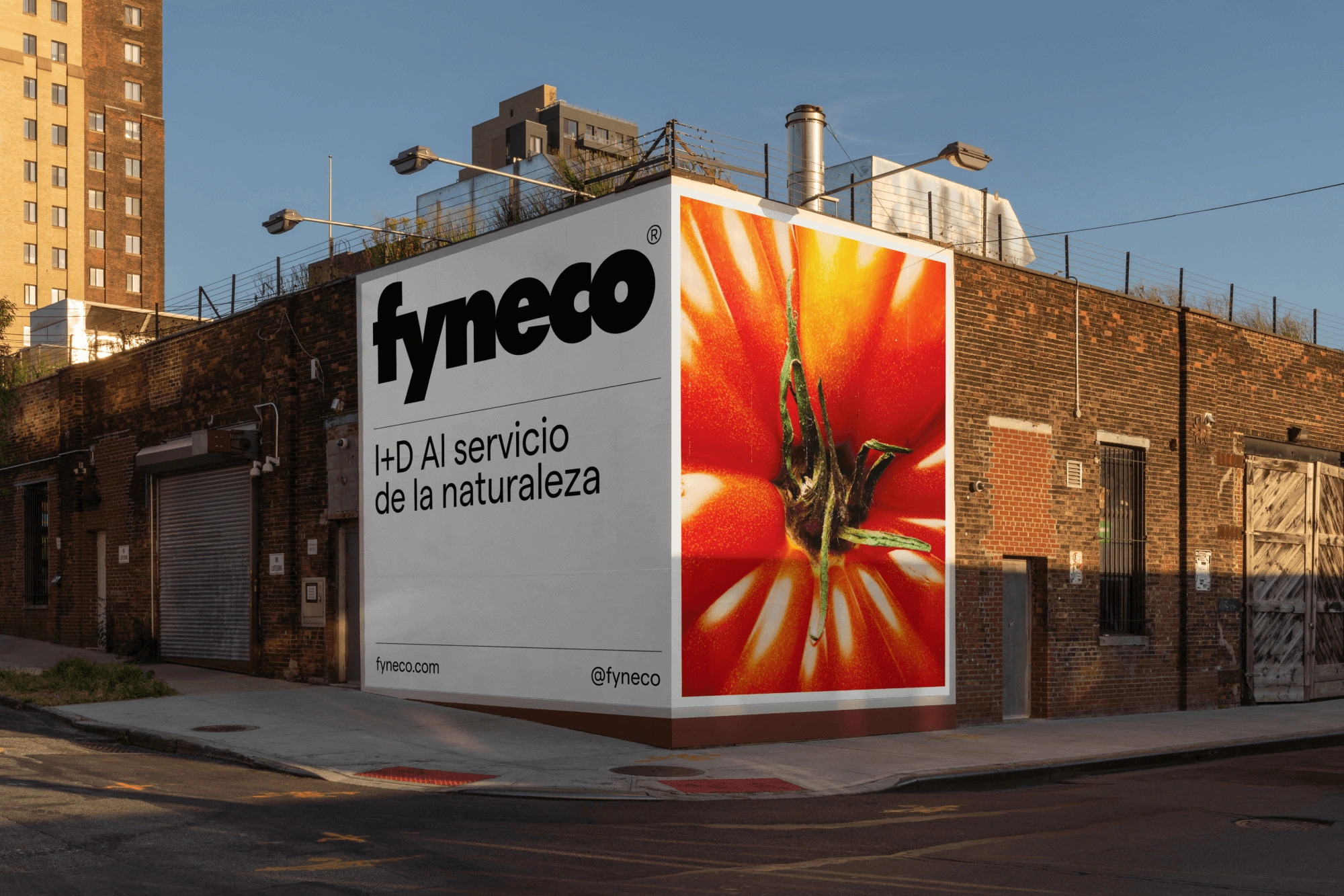 Fyneco