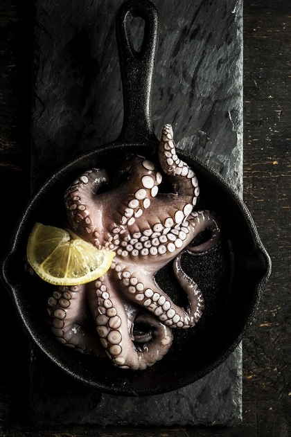 Grilled octopus