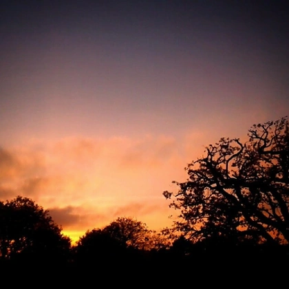 Another awesome sunset from my room this afternoon.. #sunset #silhouette #sky #autumn #fall