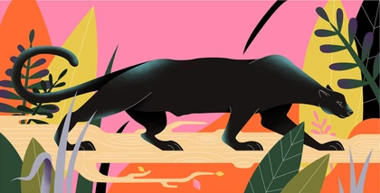 The Jungle Book Graphic Novel on Behance