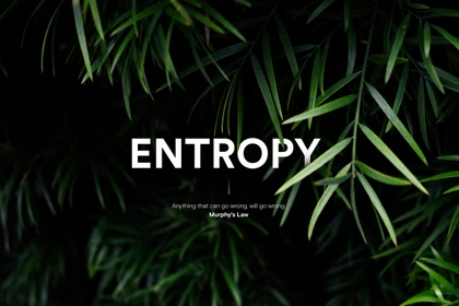 entropy copy