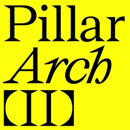 Photo by tomorrow.type.today on September 04, 2020. Image may contain: text that says 'Pillar Arch D'.