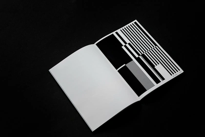 branding  graphic design  print publication