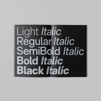 Mark Bloom / CoType Foundry / RM Neue / Specimen / 2019
 Download