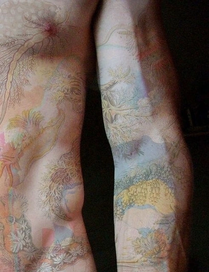 50 Insanely Gorgeous Nature Tattoos