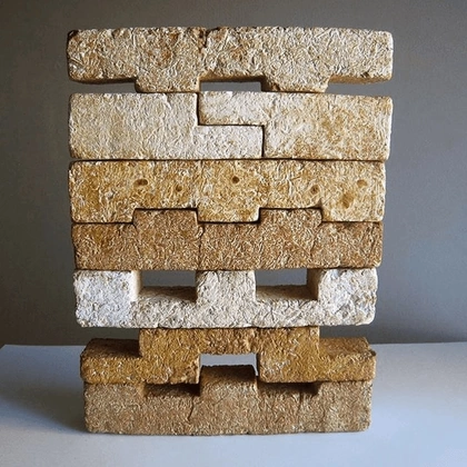 Different-interlocking-shapes-of-mycelium-bricks-available.png (640×640)