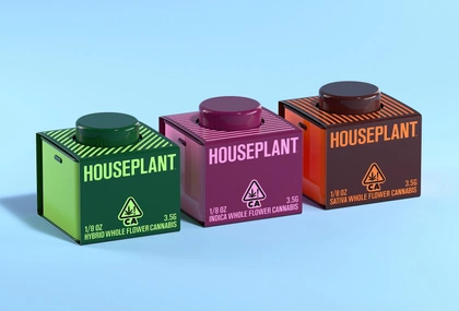 Houseplant – Visual Journal