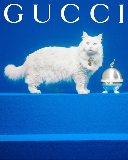 gucci-gucci-pets-photography-itsnicethat17.jpg