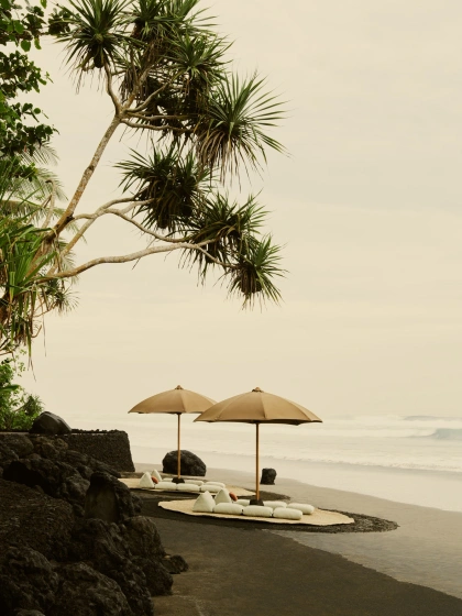 Garden at Lost Lindenberg Bali