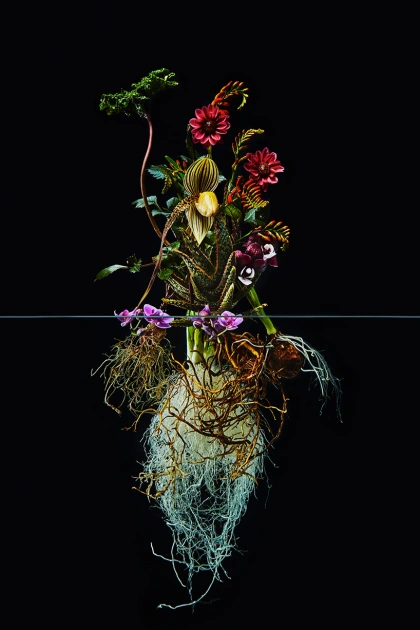 azuma makoto undersurface flowers
