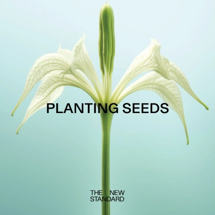 Photo shared by MADE THOUGHT on June 03, 2024 tagging @universaldesignstudio, and @mapprojecto. May be an image of angel's trumpet, seedlings, white lily, lily, seedling, herb and text that says 'PLANTING NG SEEDS THENEW NEW THE STANDARD STAI DARD'.