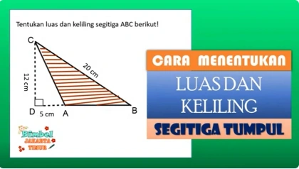 Cara Menentukan Luas Dan Keliling Segitiga Tumpul #pythagoras #matematikakelas8