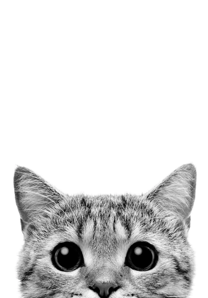 Kitty se asoma cartel IMPRIMIBLE en blanco y negro minimalista moderno impresión, Home Decor impresión escandinava, descarga digital