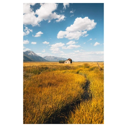 Photo by patrick koetzle in Grand Teton National Park with @magnumphotos, @nikonusa, @fieldmag, @nomadict, @humming_magazine, @stademagazine, @earthminimal, @woofermagazine, and @nikonoutdoorsusa. Pode ser uma imagem de Castilleja, natureza e texto.